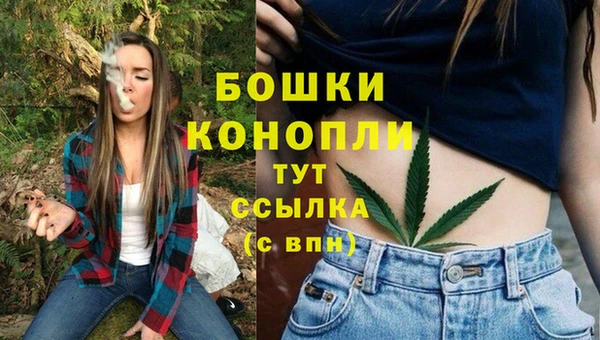 меф Переславль-Залесский