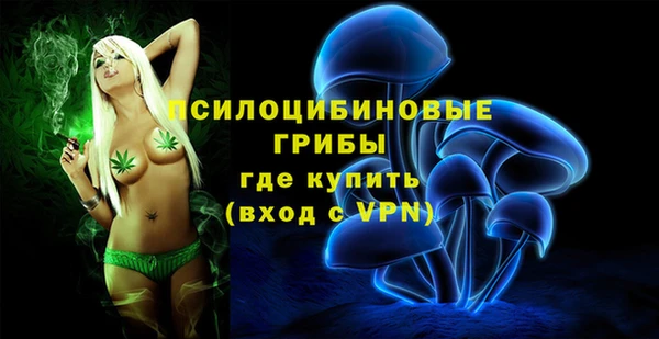 ГАЛЛЮЦИНОГЕННЫЕ ГРИБЫ Осташков