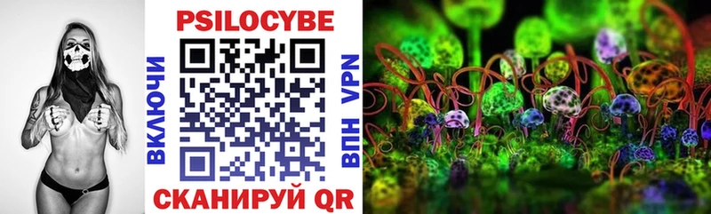 Галлюциногенные грибы Psilocybine cubensis  Сольвычегодск 